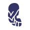 Virgo