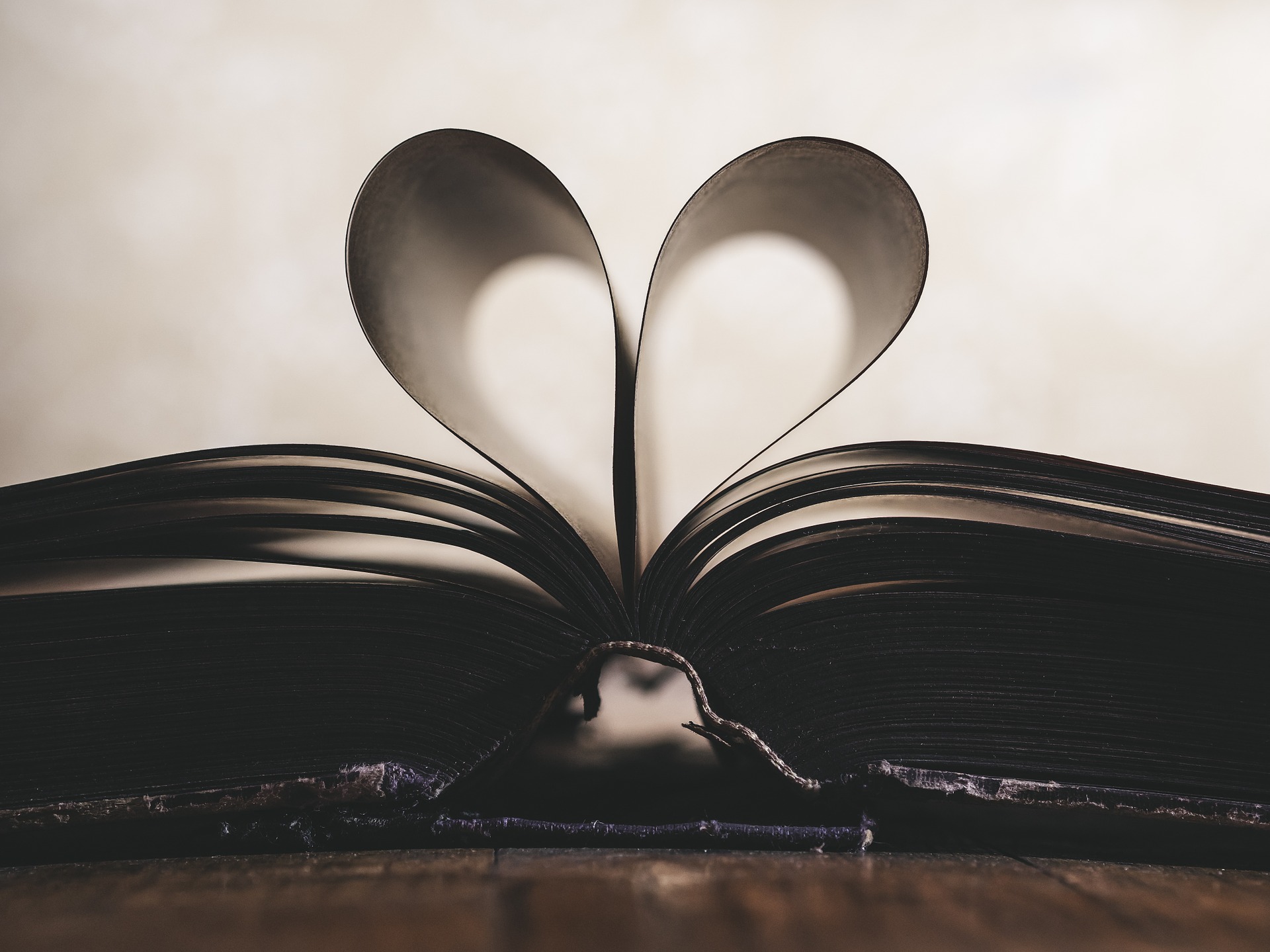 ¿Cuál es el libro preferido de cada signo del zodíaco?
