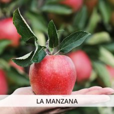 Ritual de la manzana